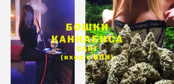 индика Алапаевск
