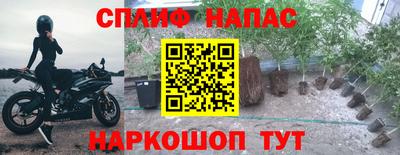 скорость Донской