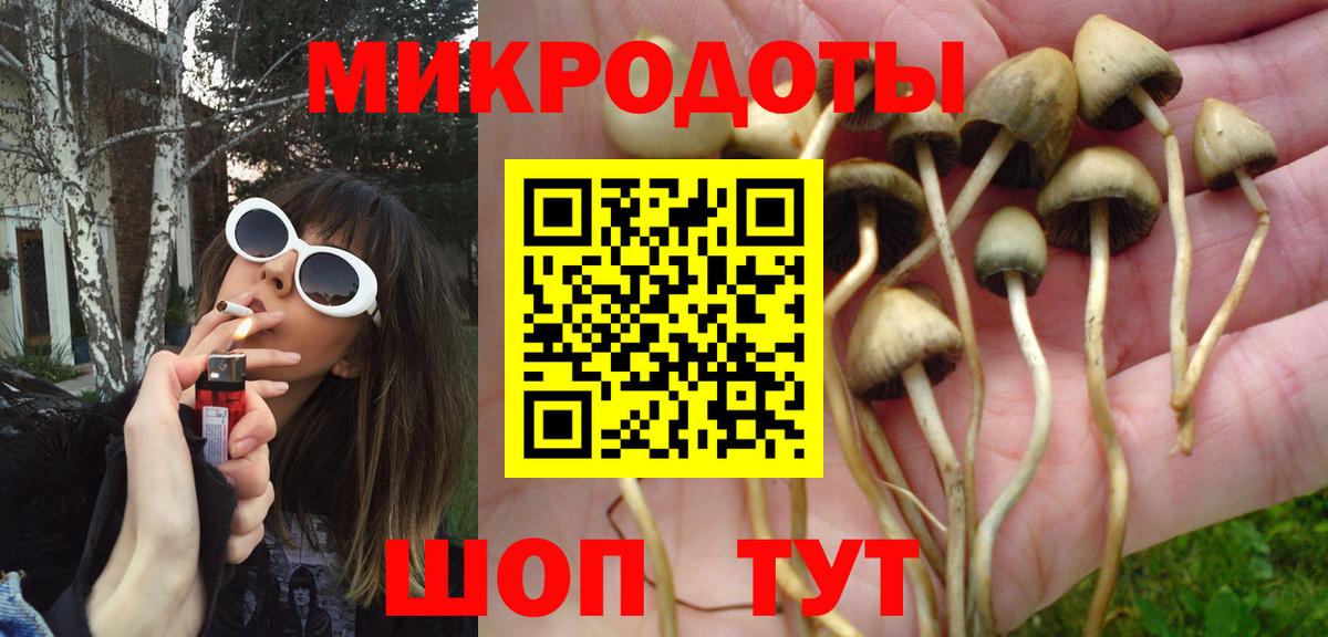 закладки  Псилоцибиновые грибы Magic Shrooms  Электросталь  Вход с VPN  Псилоцибиновые грибы мухоморы 
