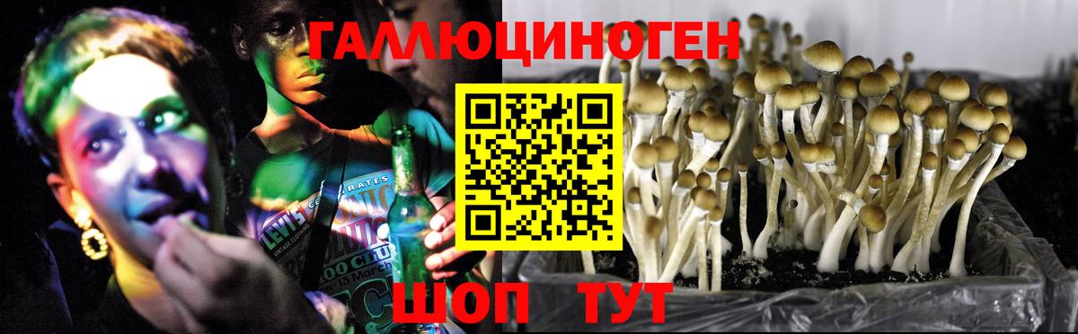 Галлюциногенные грибы Cubensis Электросталь