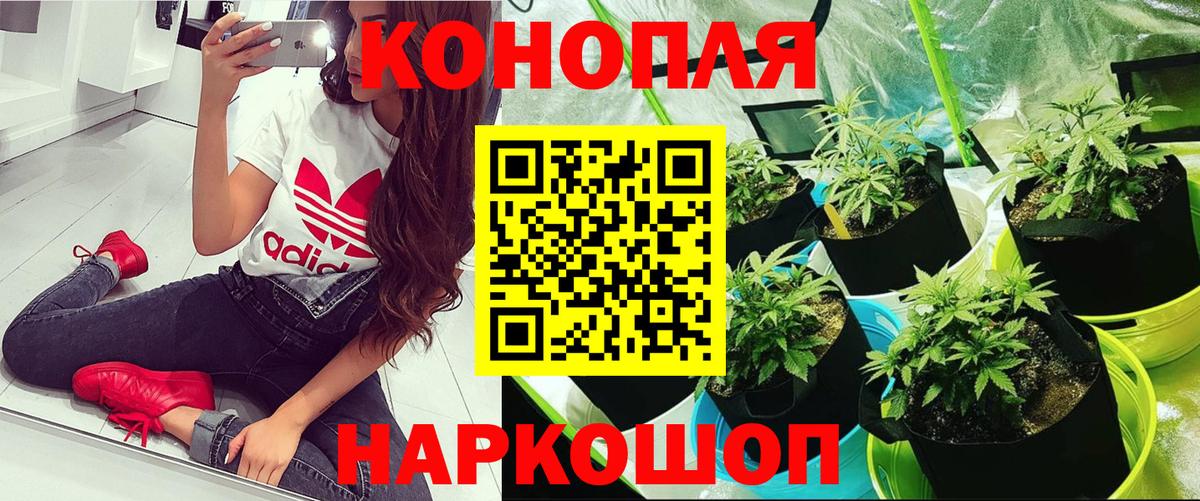Марихуана конопля Электросталь